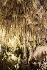 26_Carlsbad Caverns National Park_06